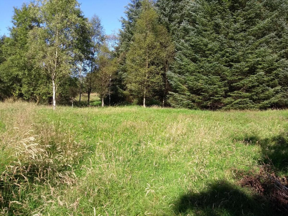 Cleeves Cabins Ailsa Luxury Lodge With Hot Tub Dalry  Eksteriør bilde